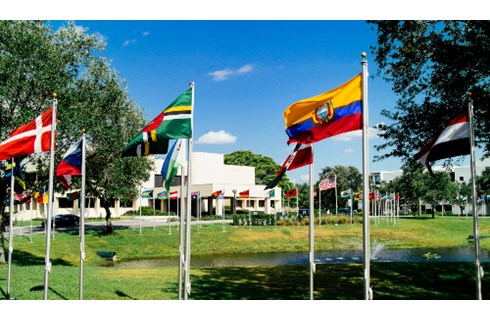 Lynn University